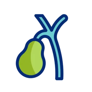 Natual gallbladder Treatment