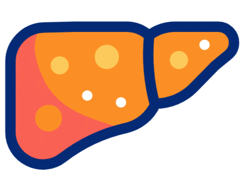 Natural Treatment of Fatty Liver
